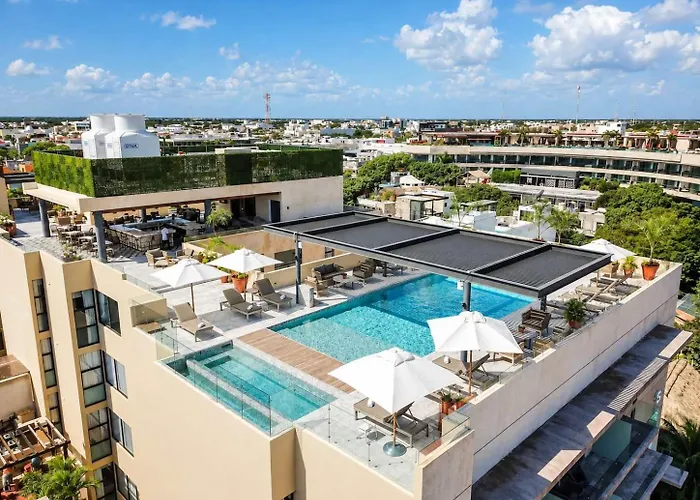 1br 1ba In Singular Joy, Location In Town * Playa del Carmen